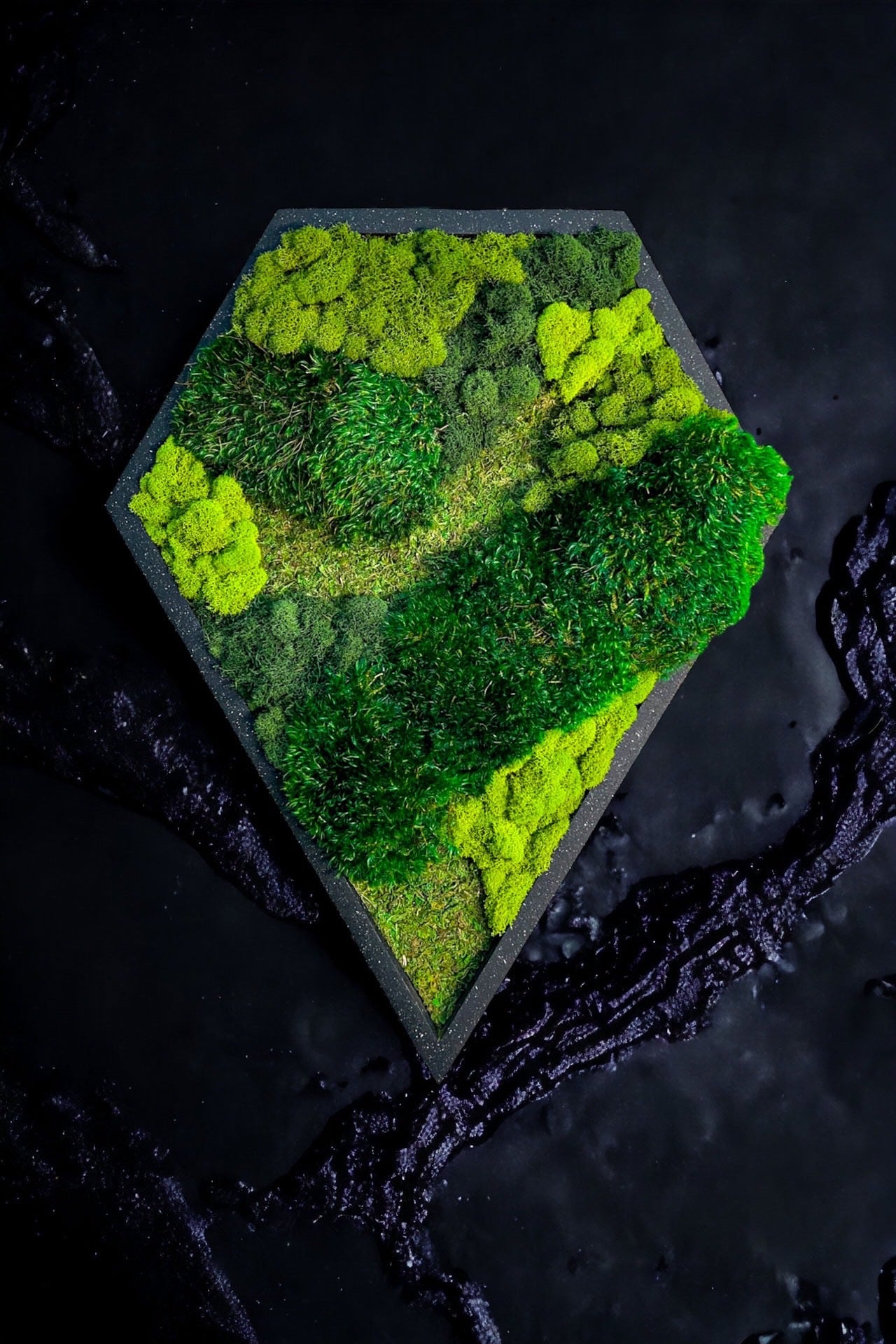 Geometrical Moss Art