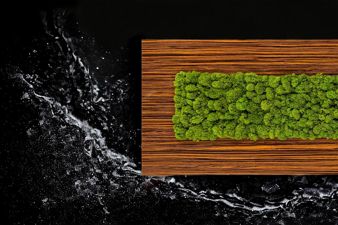 Moss Panels