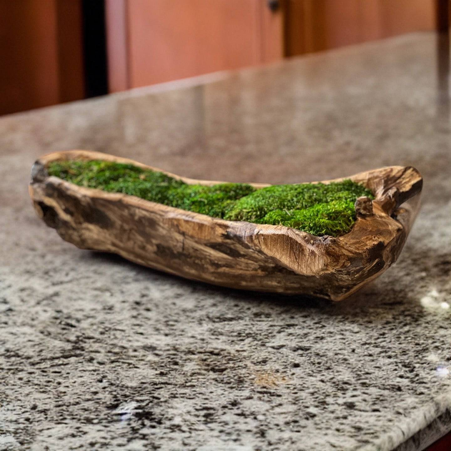 40 Moss Bowl Centerpiece – HollyBee and Company