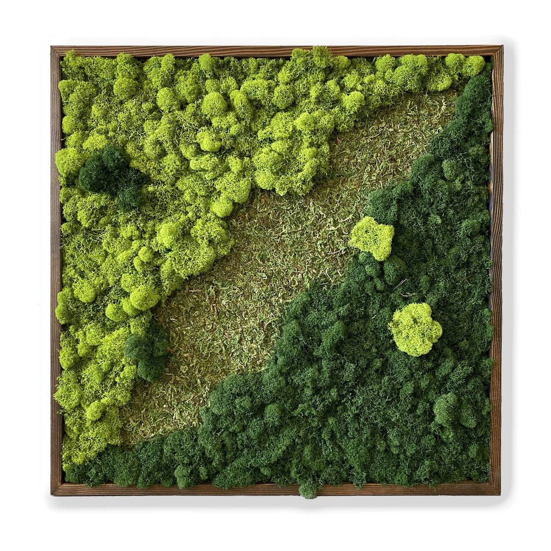 Mixed Moss Garden Wall Art - MossFusion