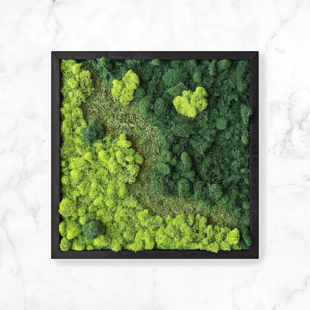 Mixed Moss Garden Wall Art - MossFusion