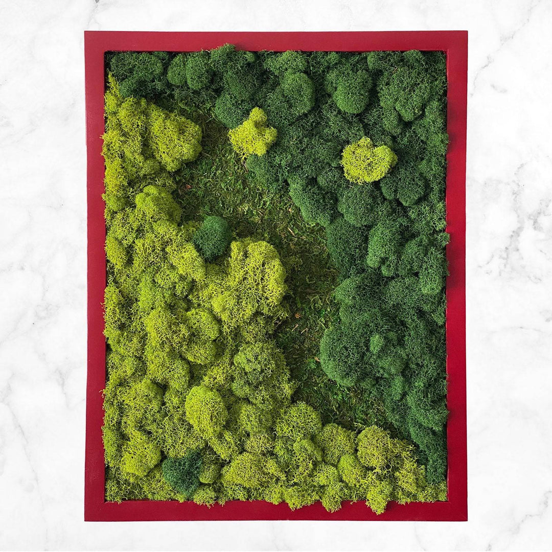 Mixed Moss Garden Wall Art - MossFusion