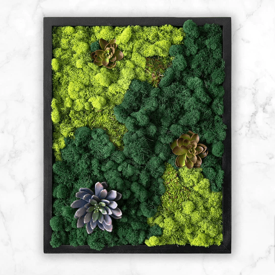 Create Good Vibes with <em>Preserved Moss Wall Art</em> - MossFusion