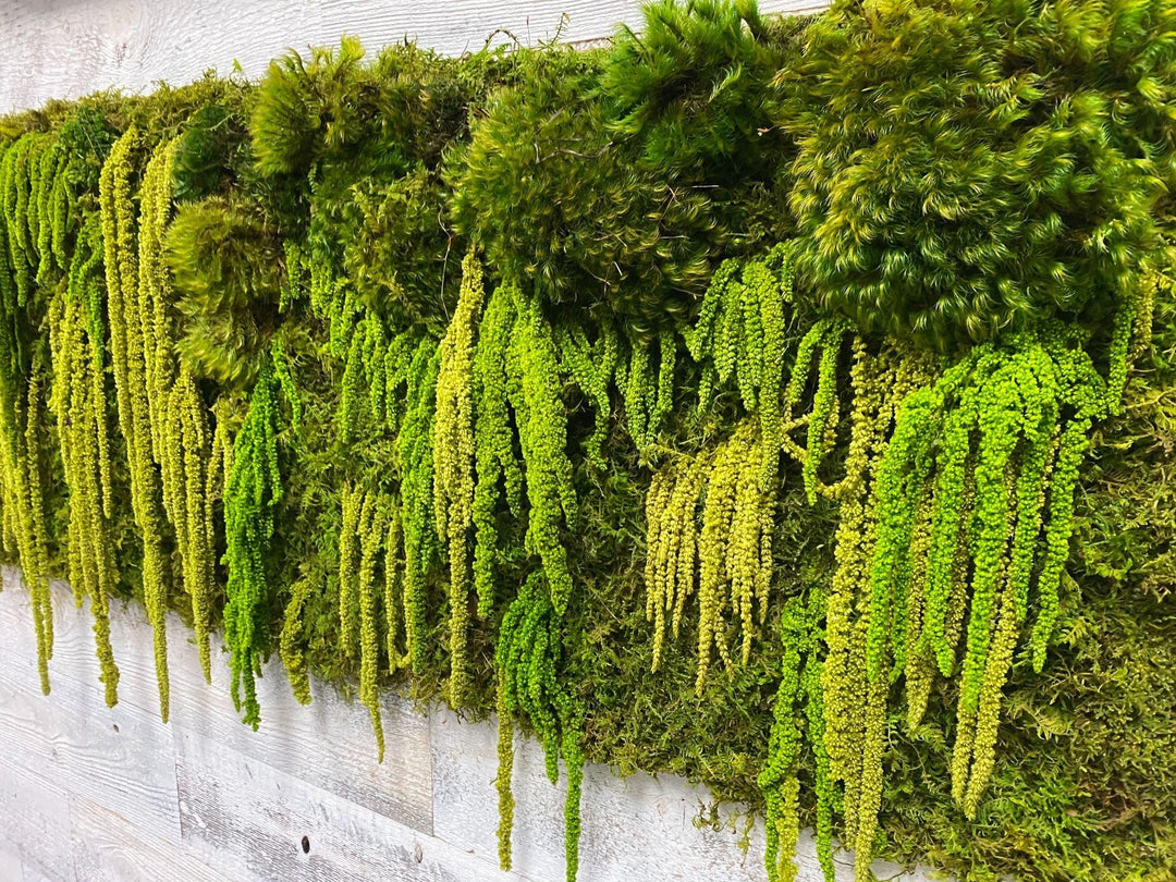 indoor moss wall art - Mossfusion