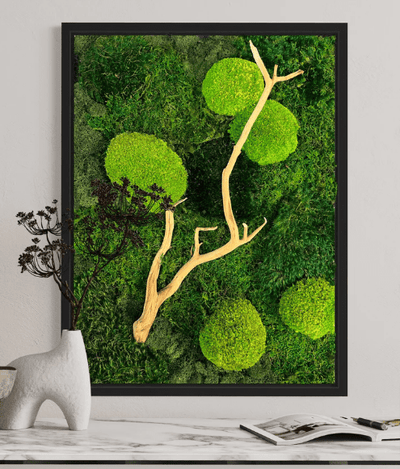 MossFusion is the Number One Choice for Custom Preserved <em>Moss Wall Art</em>