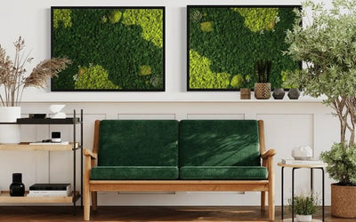 MossFusion – Unique Architectural Ornamentation