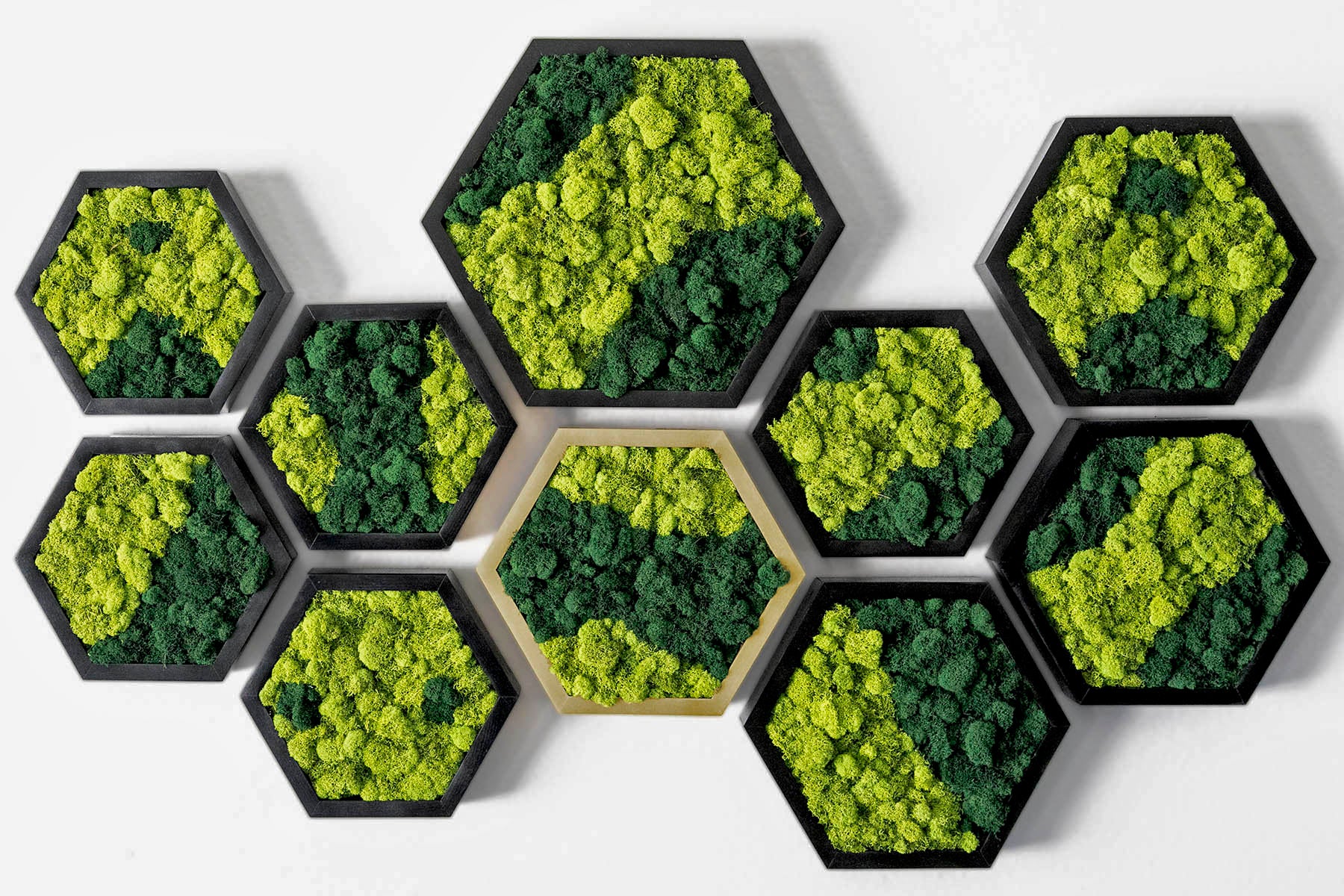 Hexagon Moss Wall Art Honeycomb