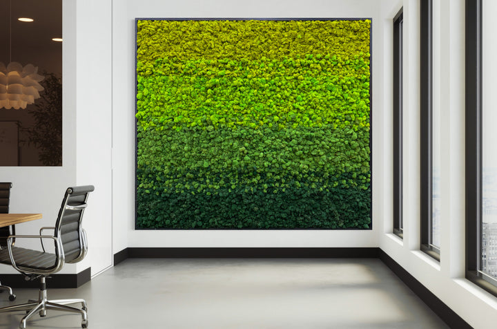 Gradient Preserved Moss Art - MossFusion