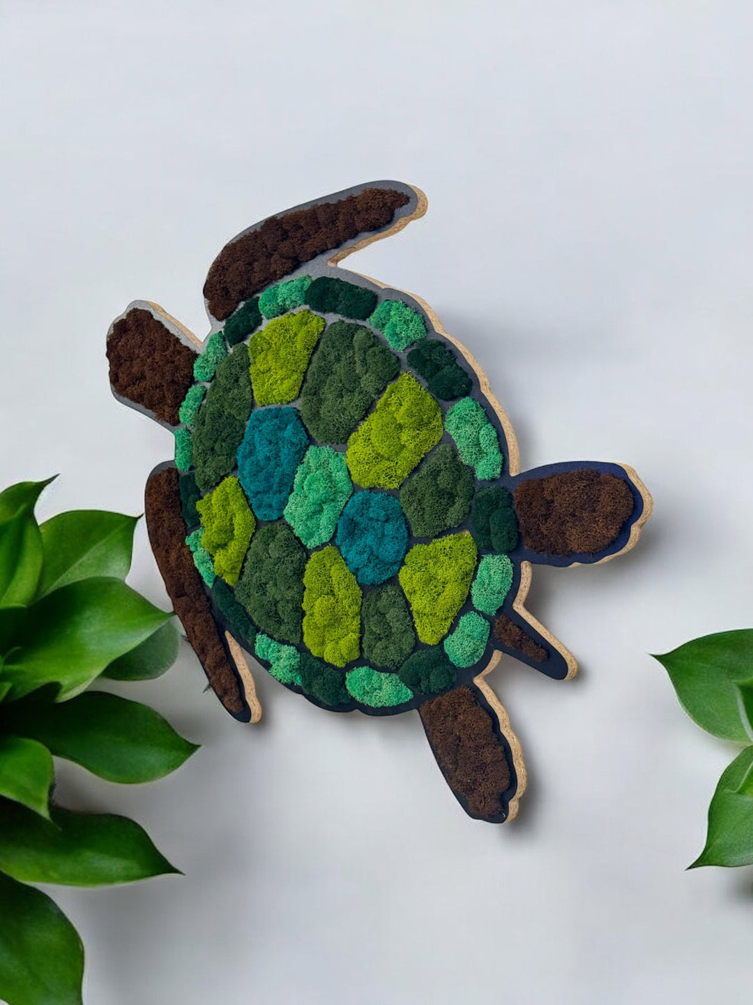 Turtle Moss Art