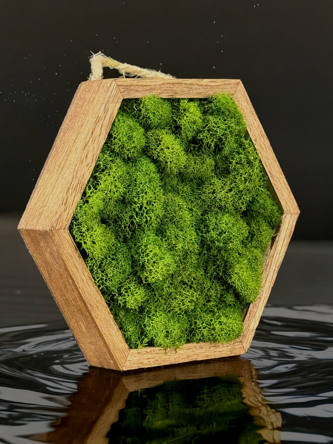 Miniature Wooden Hexagons with Preserved Moss - MossFusion