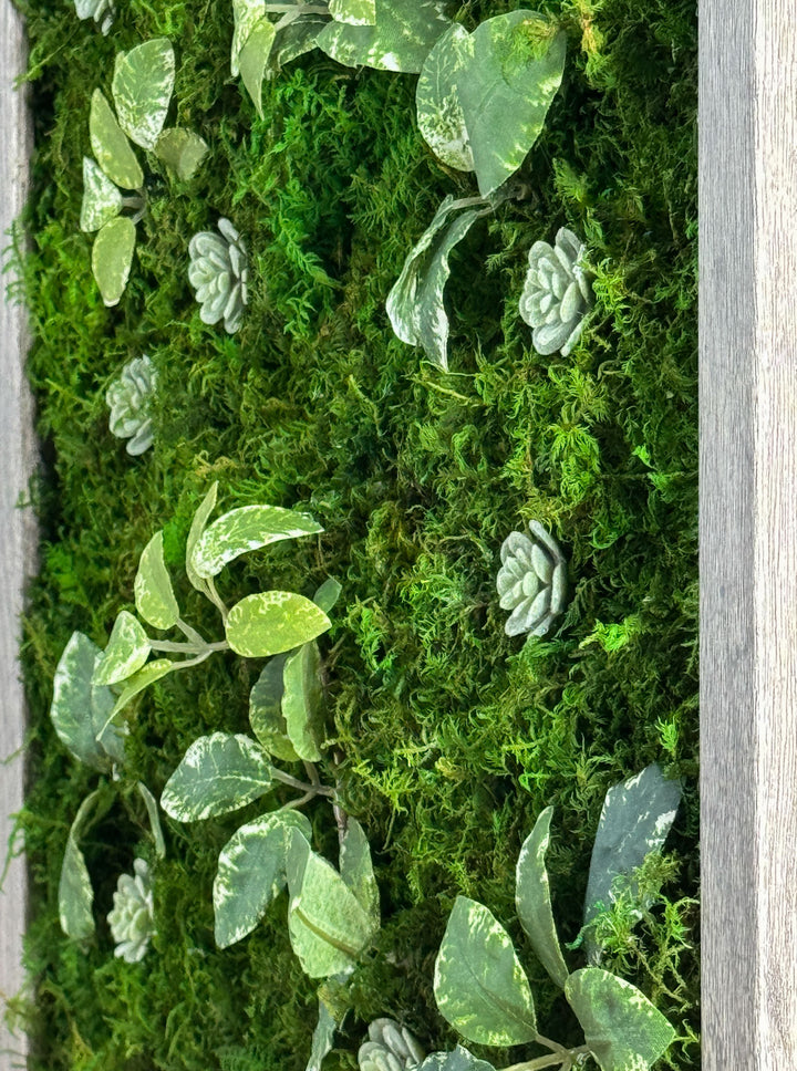 Preserved Moss Miniature Wall Art within Reach