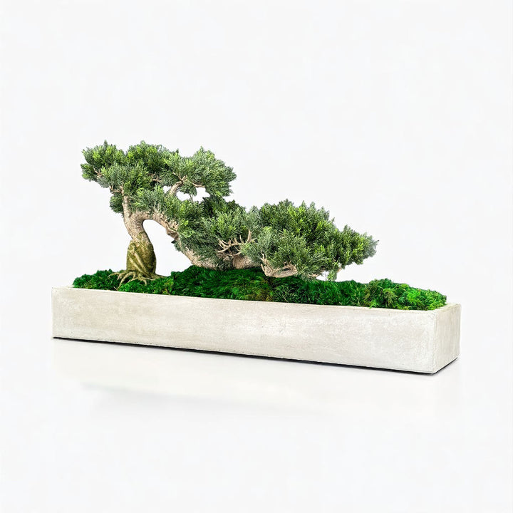Faux Bonsai Tree in Concrete Planter with Preserved Moss - MossFusion
