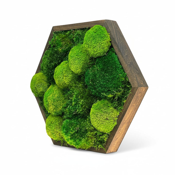 Cushion Moss Hexagon Wall Art - MossFusion