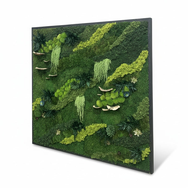 Ecosystem Moss Art Panels