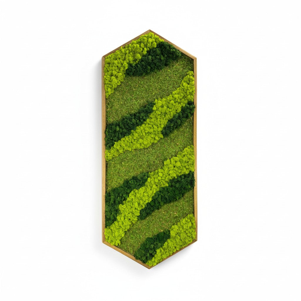 Extended Hexagon Moss Art - MossFusion