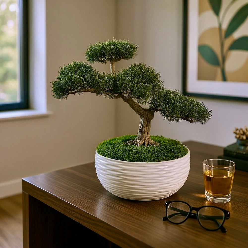Faux Bonsai in White Ripple Pot with Preserved Moss - MossFusion