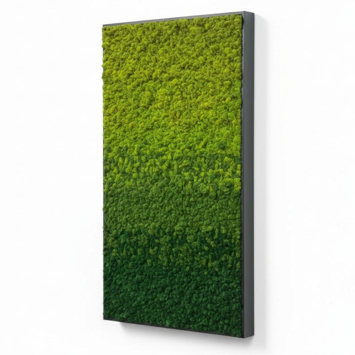 Gradient Ombre Preserved Moss Art