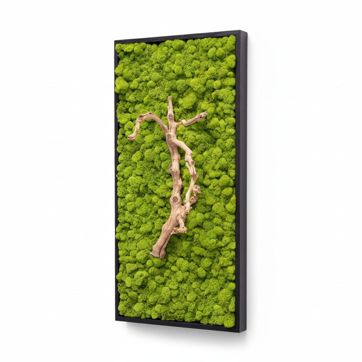 Grapevine Root & Moss Wall Art