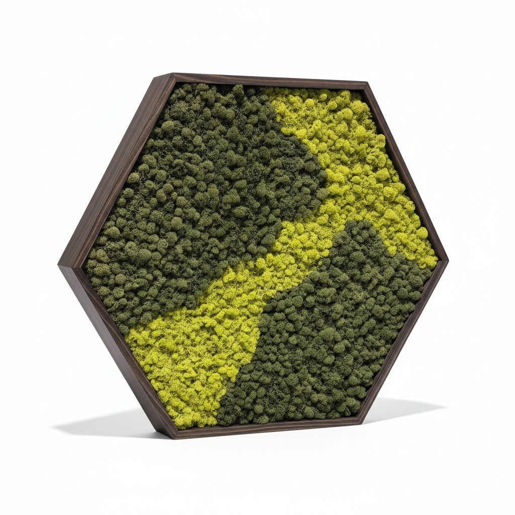Framed Hexagon Moss Wall Art