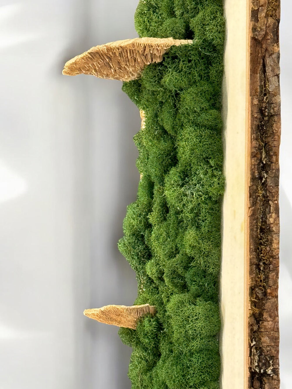 Natural Bark Moss Art - 12" x 36" - MossFusion