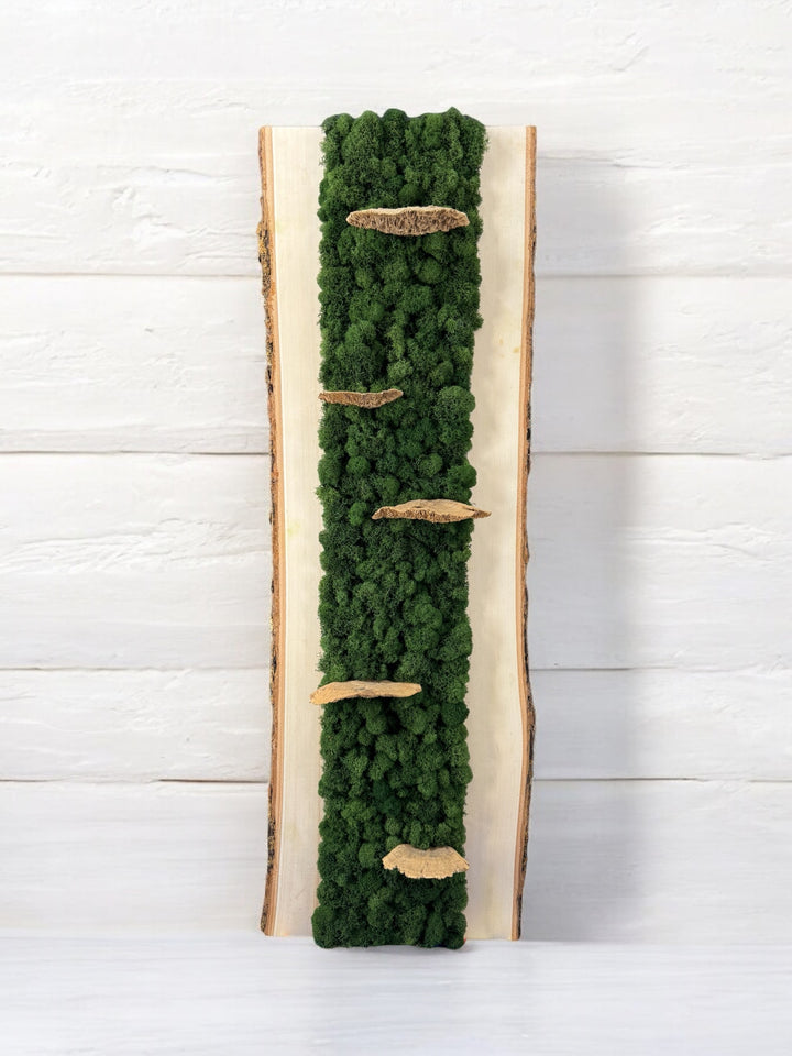 Natural Bark Edge Moss Wall Art