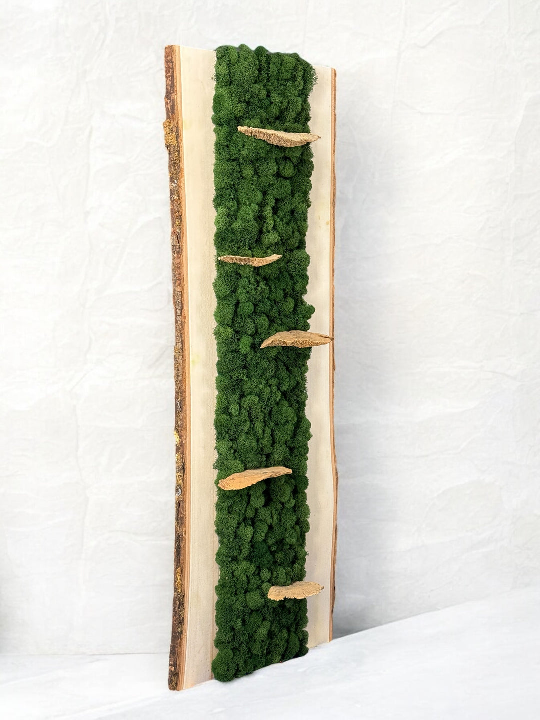 Natural Bark Edge Moss Wall Art