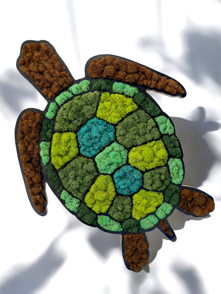 Turtle Moss Art