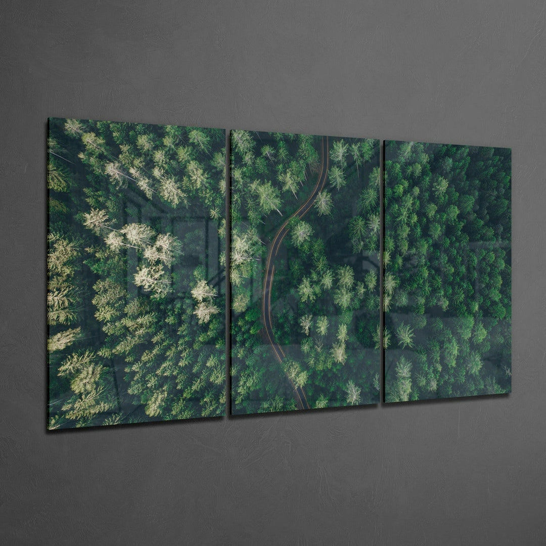 Forest Glass Wall Art