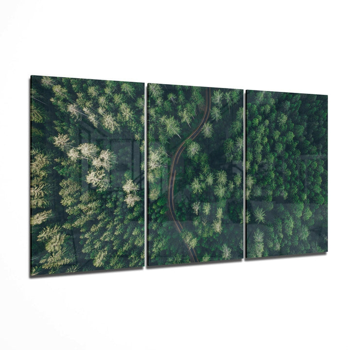 Forest Glass Wall Art