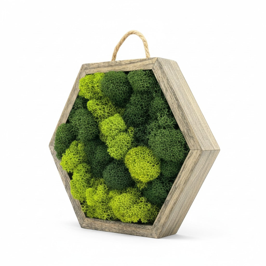 Hexagonal wooden frame with green moss on a white background