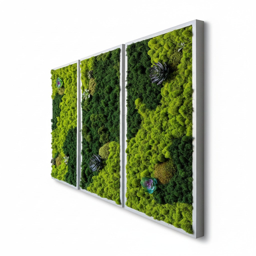 Preserved Mood and Pillow Moss Wall Art Decor