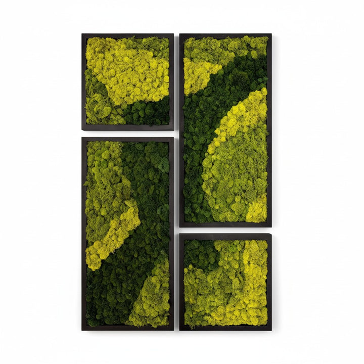 Mosaic Moss Art Sets - MossFusion