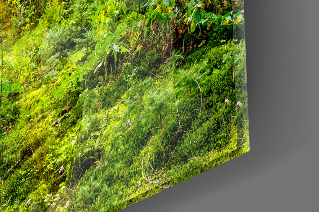 Forest Glass Wall Art