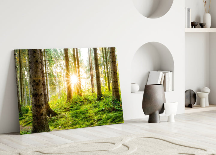 Forest Glass Wall Art