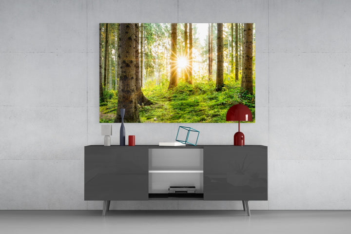 Forest Glass Wall Art