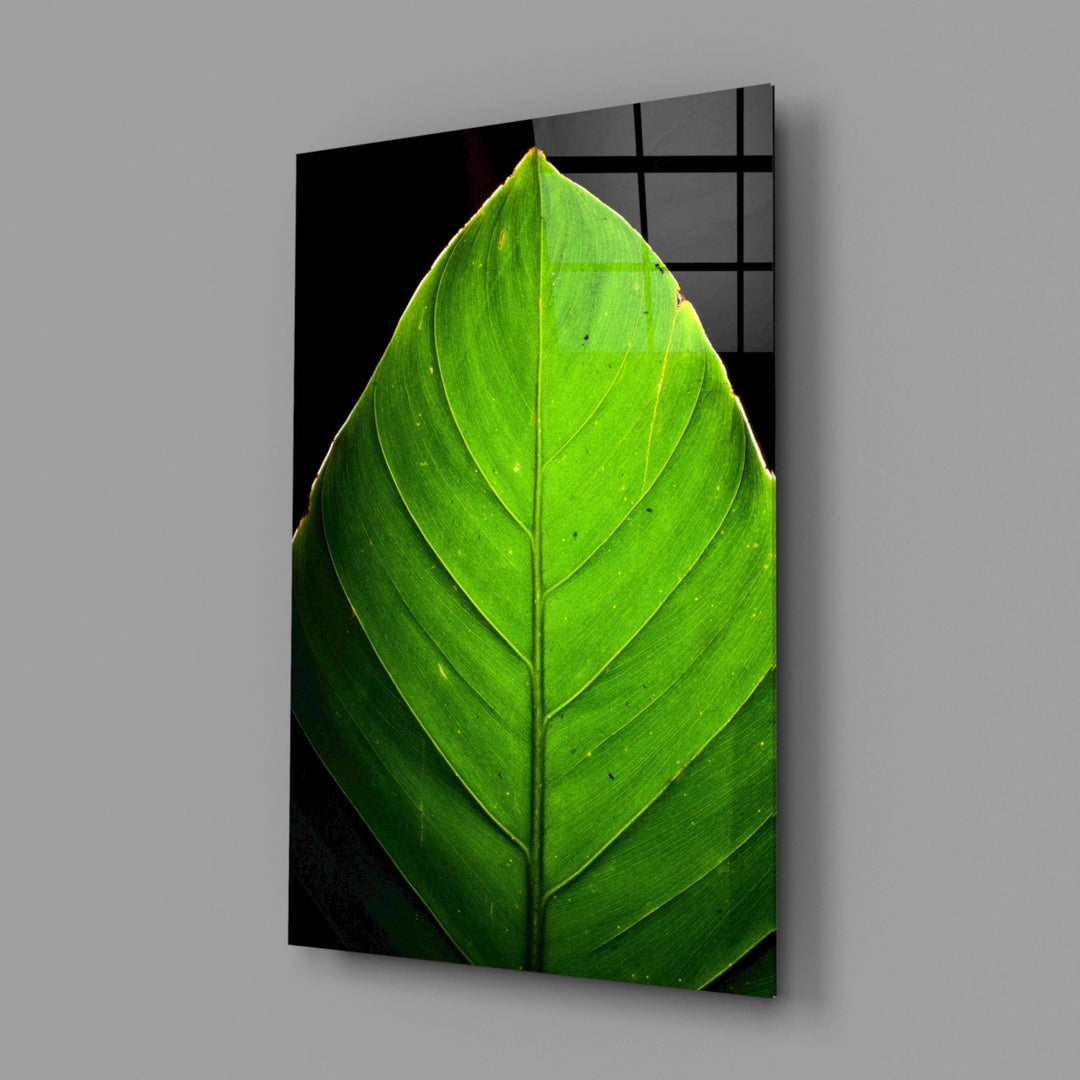 Green Leaf Glass Wall Art