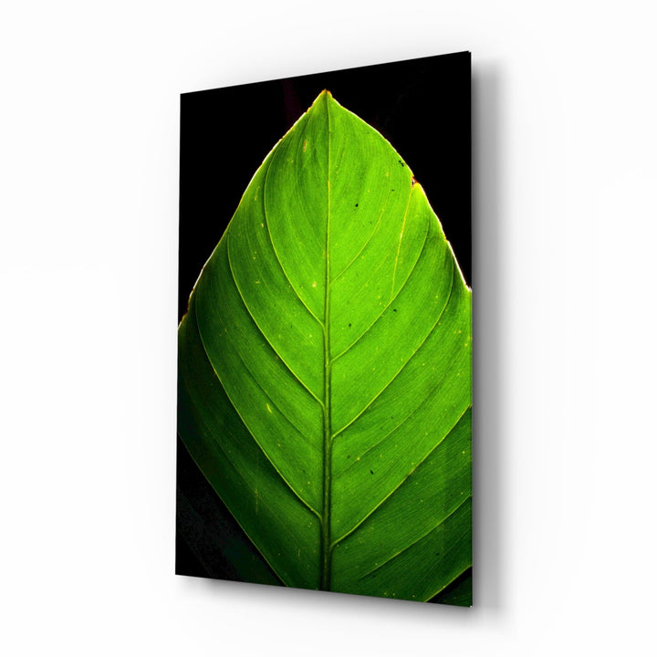 Green Leaf Glass Wall Art