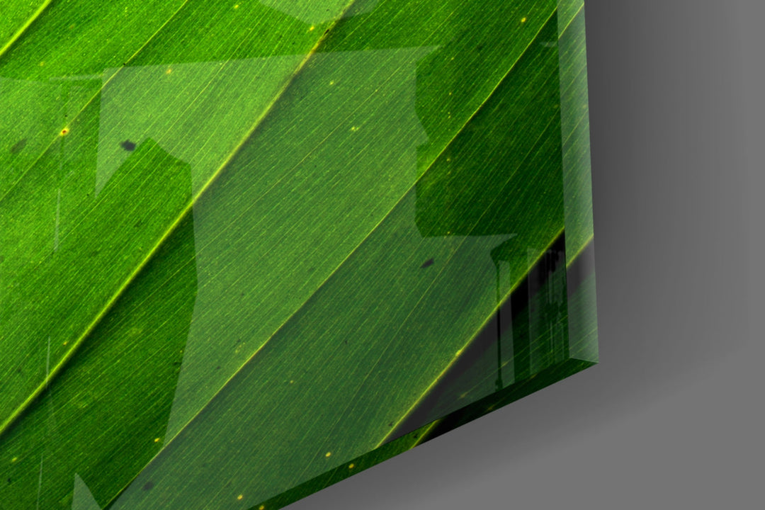 Green Leaf Glass Wall Art