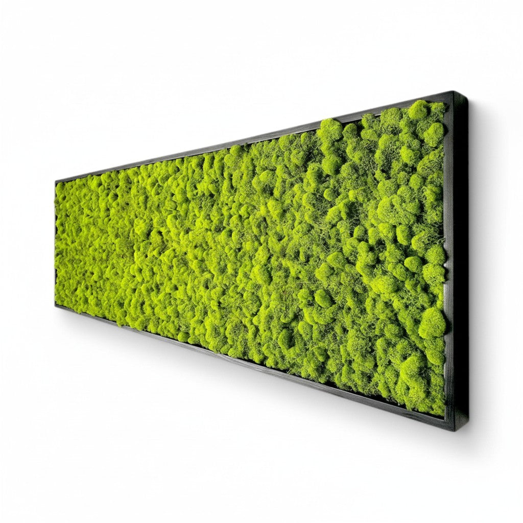 Lush Hanging Moss Wall Decor - MossFusion