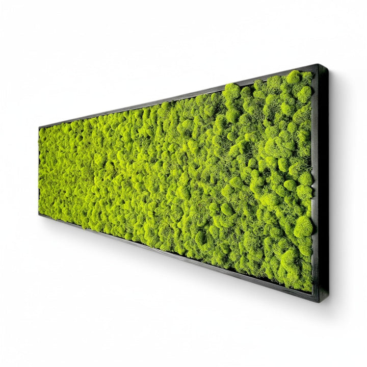 Lush Hanging Moss Wall Decor - MossFusion