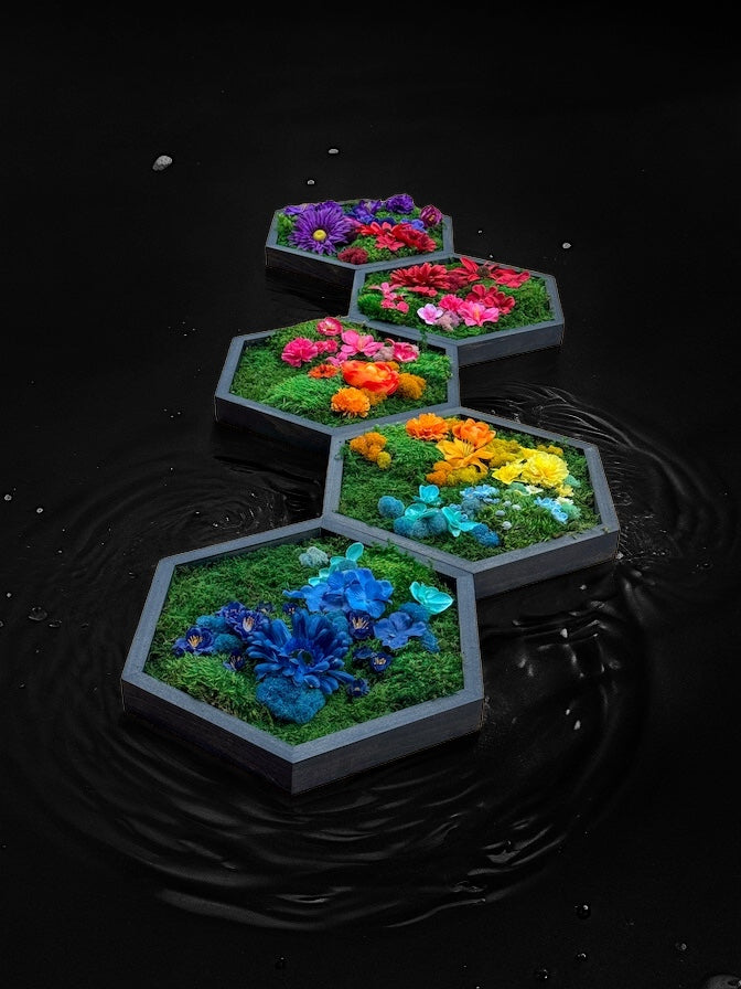 Colorful Framed Hexagon Moss Wall Art - MossFusion