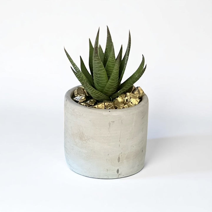 Cement Cylinder Moss & Succulent Centerpiece - MossFusion