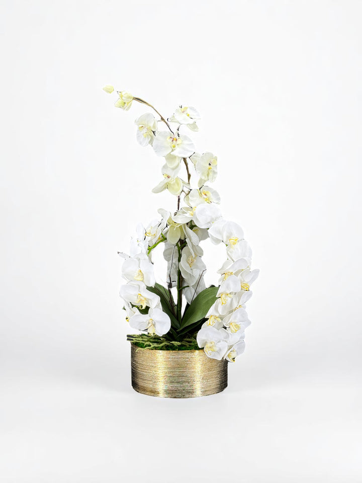 Orchid & Moss Arrangement in Silver Bowl - MossFusion