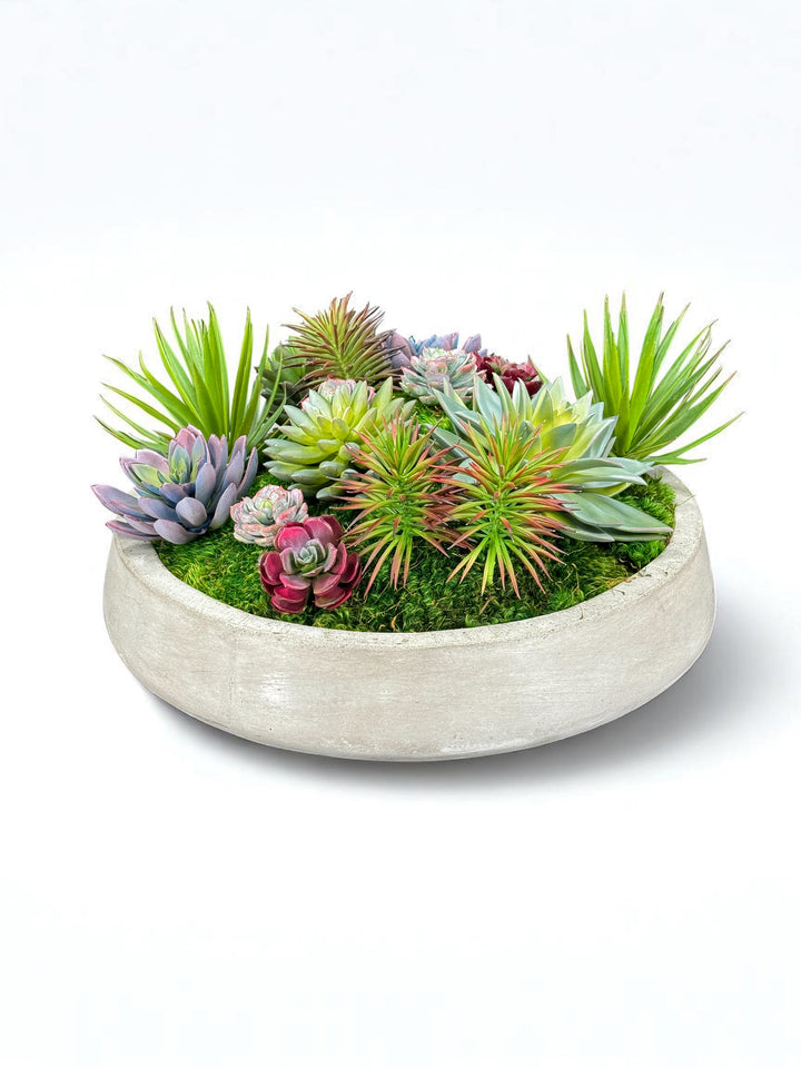 Preserved Moss in Large Round Concrete Bowl - MossFusion
