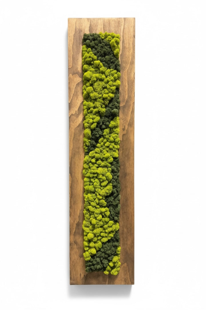 12"x48" Finished Wood Moss Wall Decor