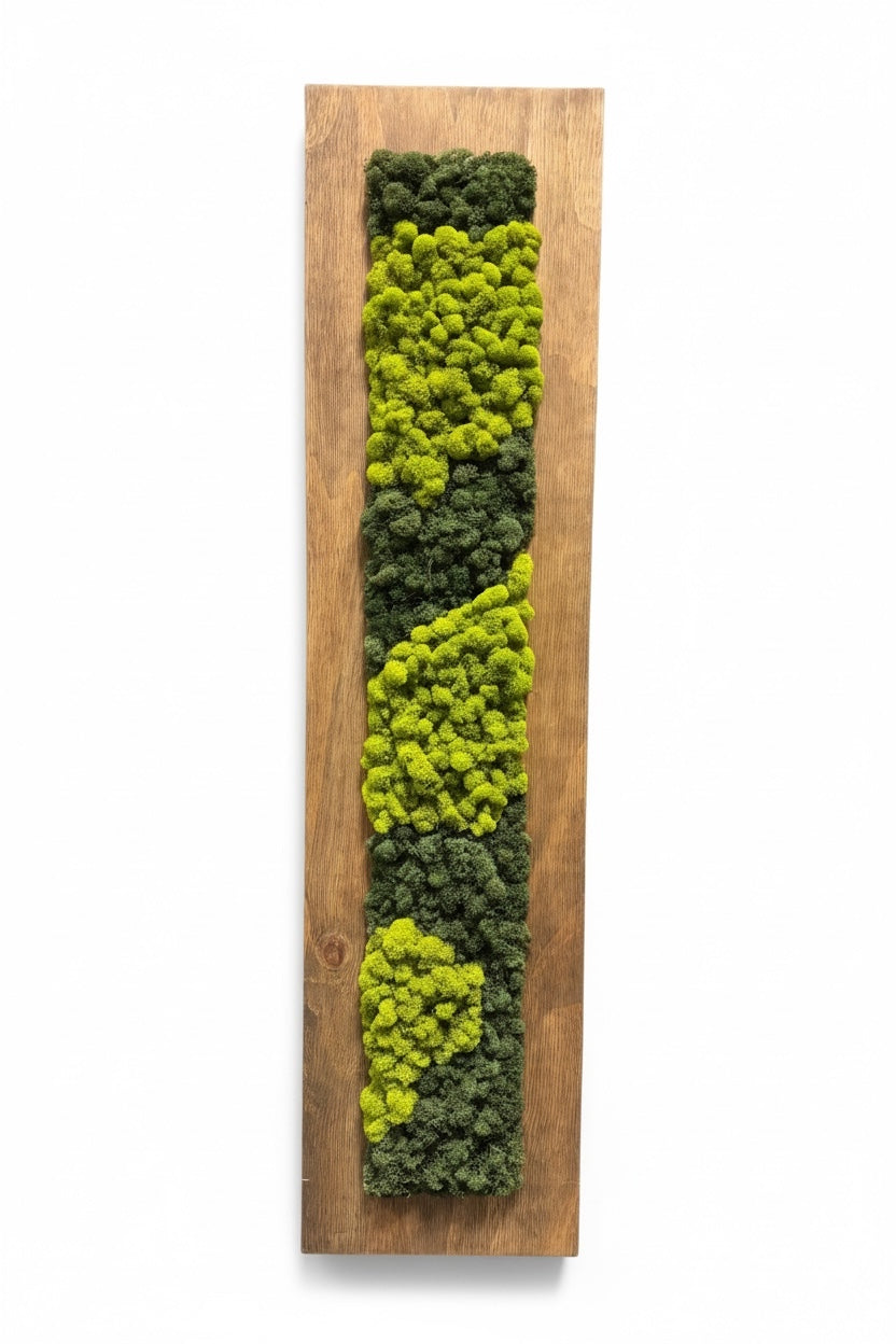 12"x48" Finished Wood Moss Wall Decor