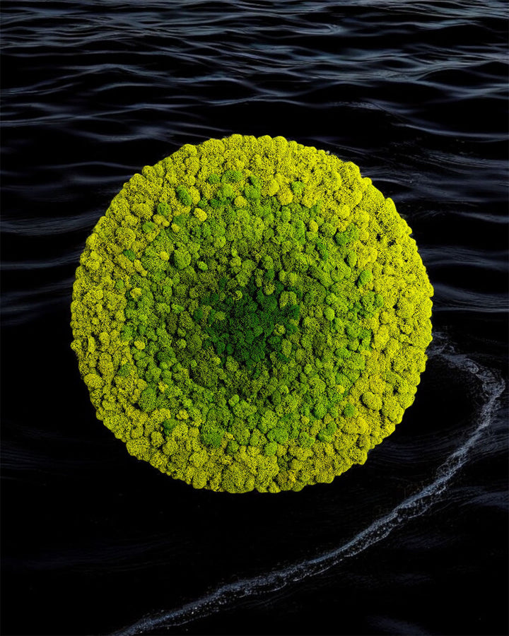 Radial Ombre Circular Moss Wall Art