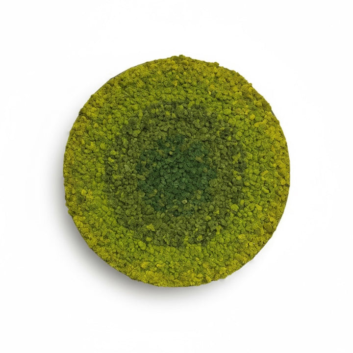 Radial Ombre Circular Moss Wall Art - 47"