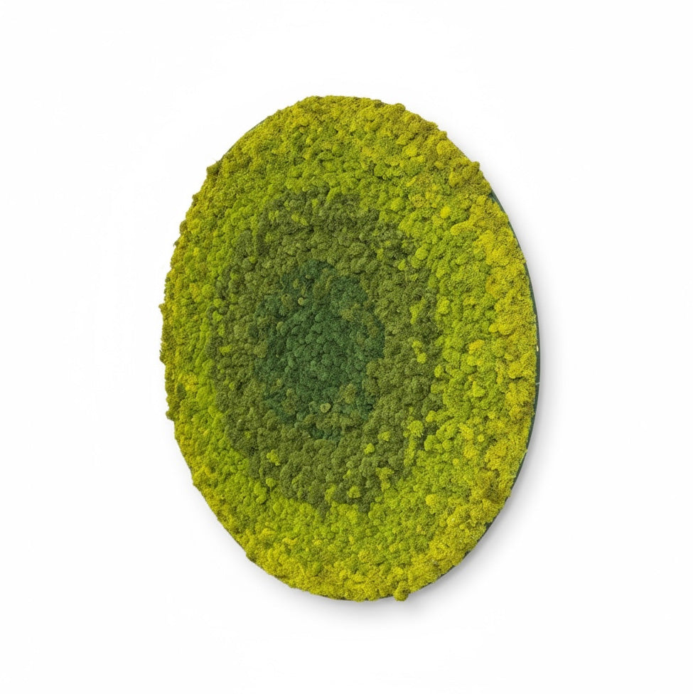 Radial Ombre Circular Moss Wall Art - 47"