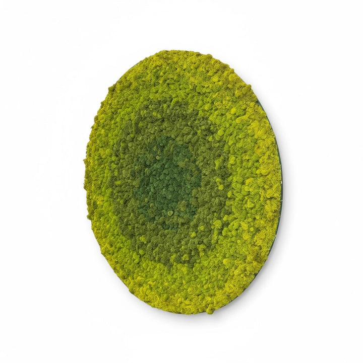 Radial Ombre Circular Moss Wall Art - 47"